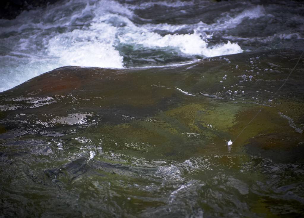 Dapping a salmon dry fly at the neck of the pool