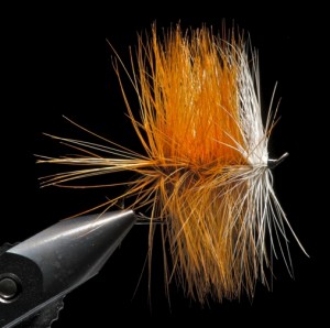 Dry fly pioneers fly: Palmer Hackle dry fly for salmon -