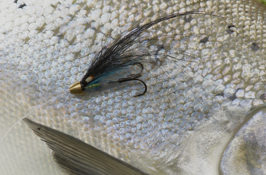 green and blue salmon fly