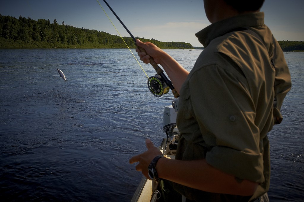 hooked on a tube fly Bomber Fishmadman