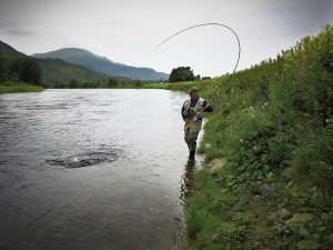 Pär Jansson fighting salmon from the Surna River - using Chernobyl Ant