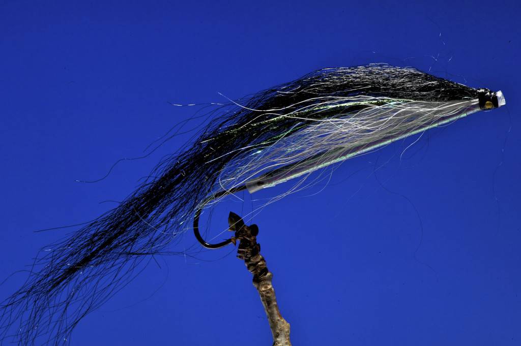 Sunray Shadow Pearl Big Super fly for top water fishing