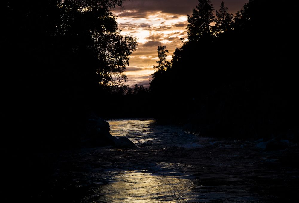 At the caddisfly river