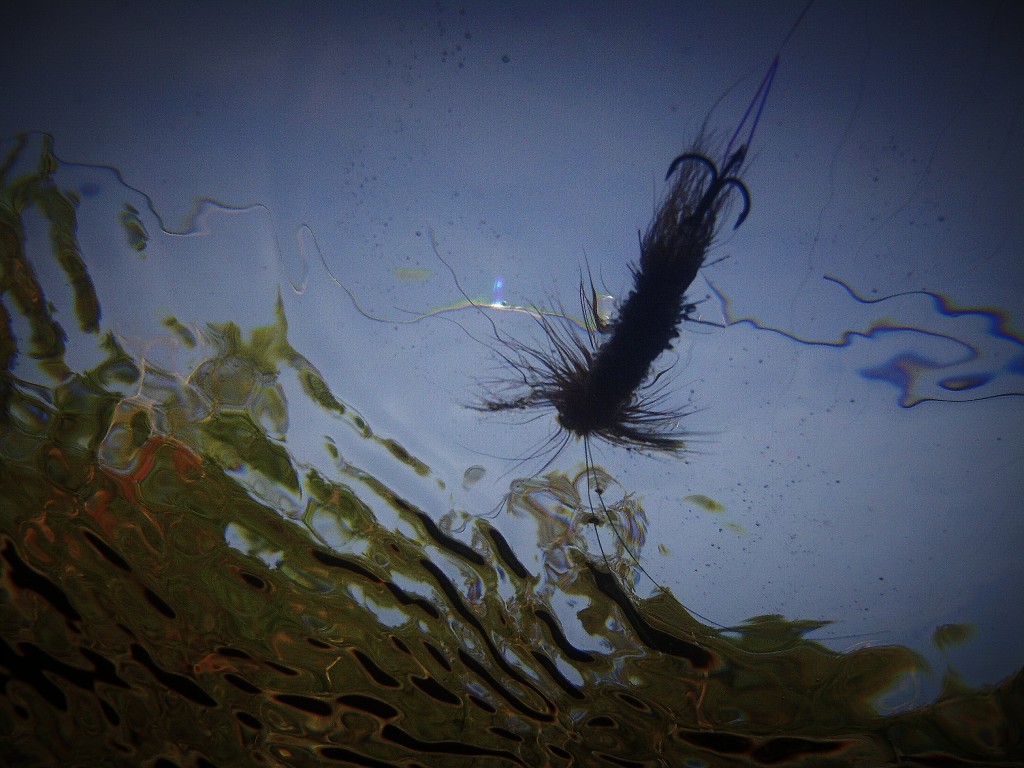 Monster Tube Caddis - Prepare dry fly with silicone