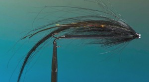 Big black sunray shadow tube fly for salmon