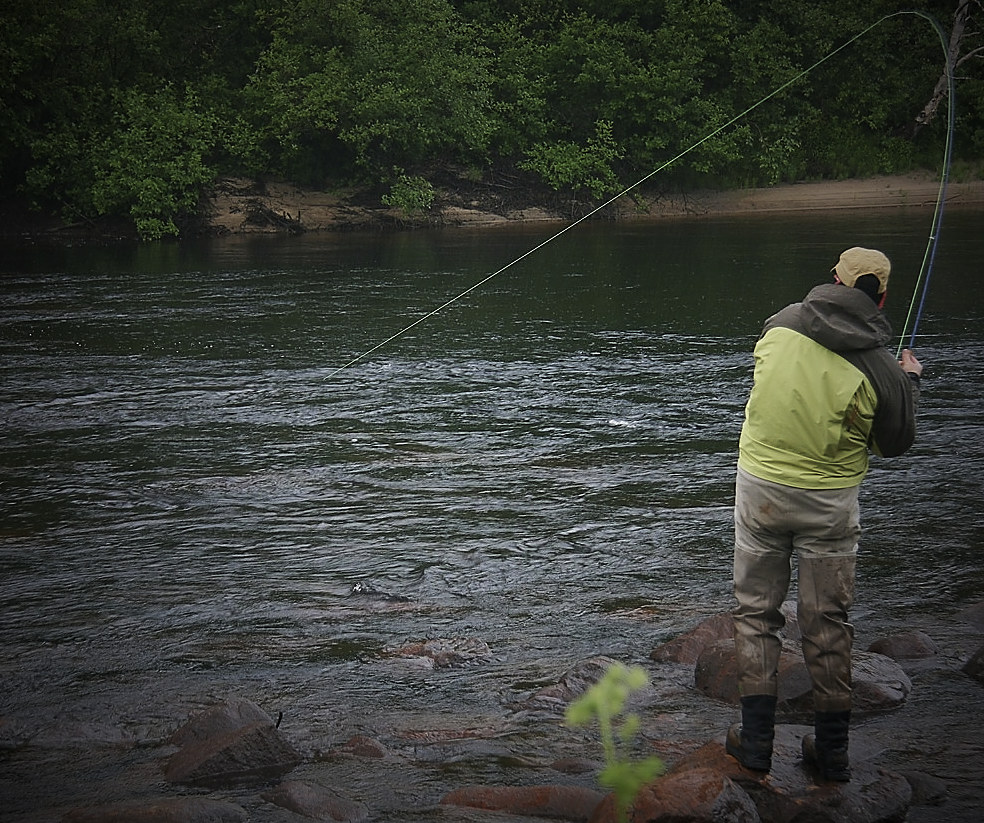 Salmon on the Upper Moisie