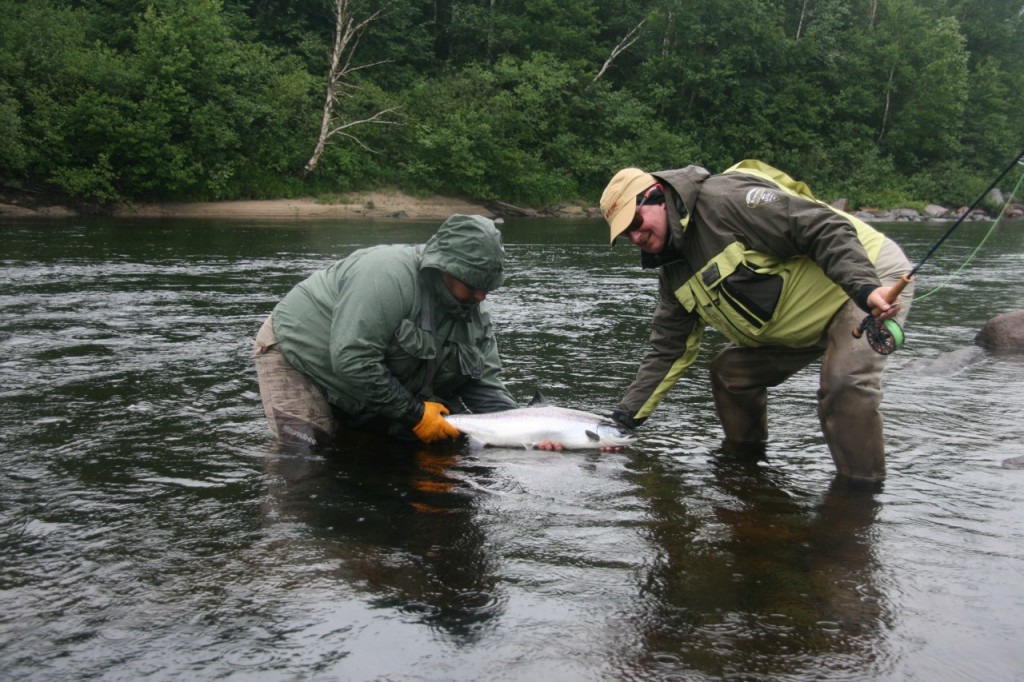 upper Moisie River in Quebec salmon