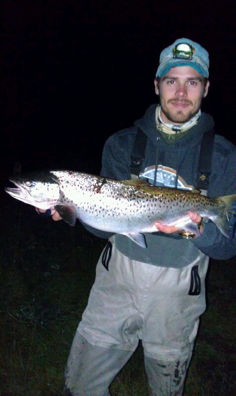 wake fly for sea trout