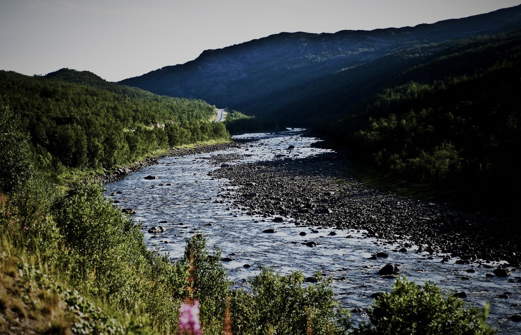 Tørfluge fiskeri i Repparfjord elven