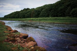 The upper part of Morphy Dyk pool at the North Esk