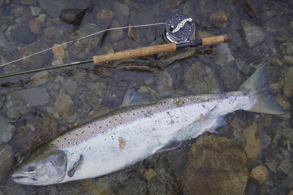 Salmon on tube fly