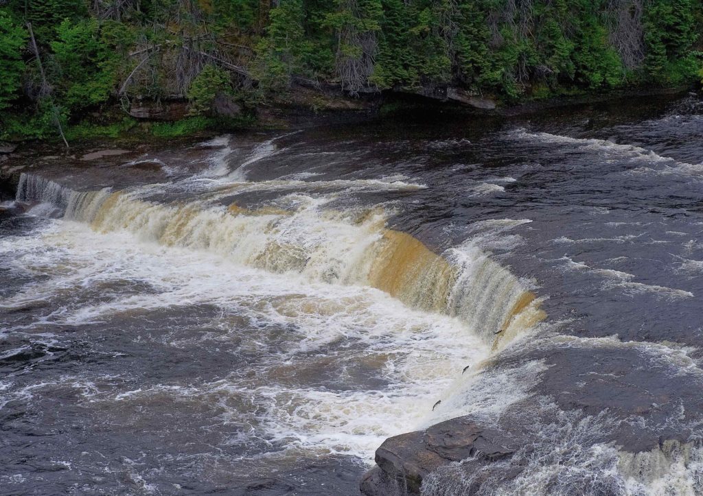 Big Falls Humber river dry fly fishing