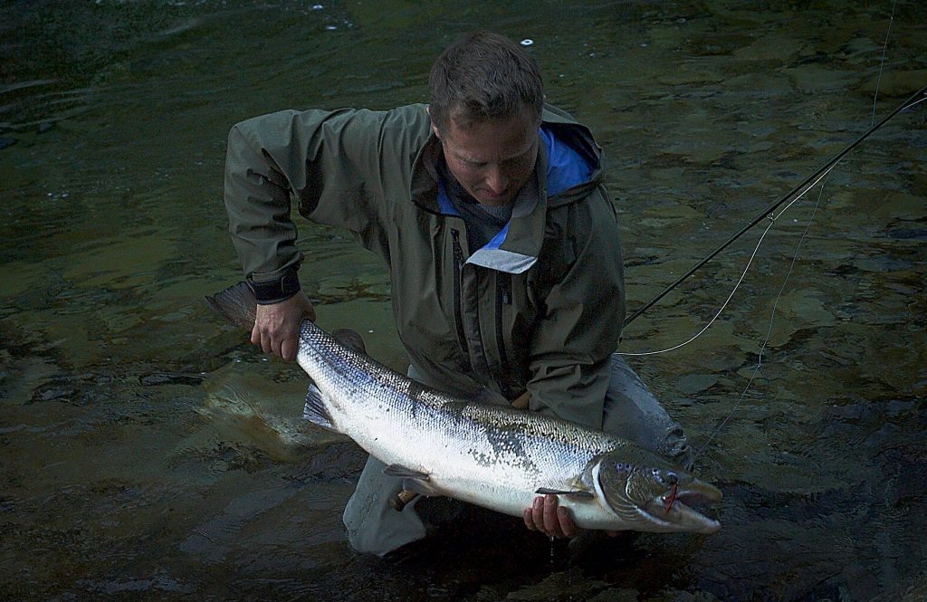 Big male salmon from August