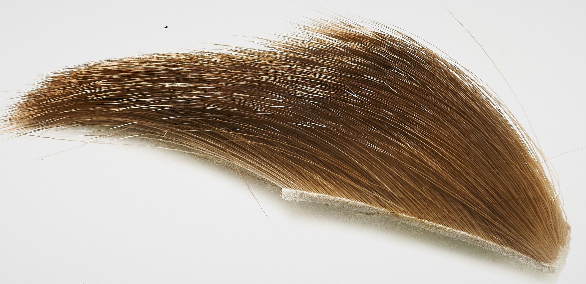 White tail Deer hair - October quality
