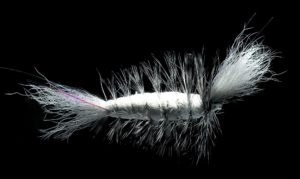 salmon dry fly