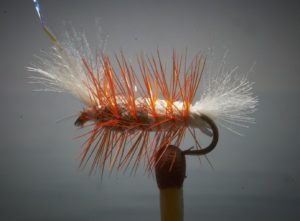 Bomber for salmon or steelhead float or wake