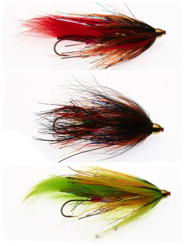 Japanese tube fly Tokushi yun