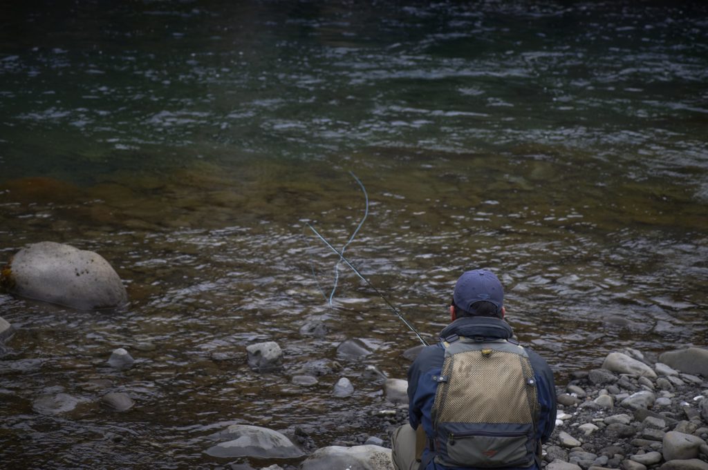 retreving salmon flies