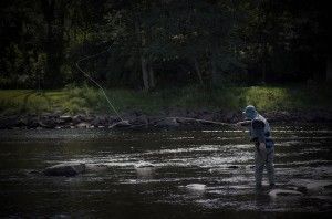 Precision fishing into snell`s window