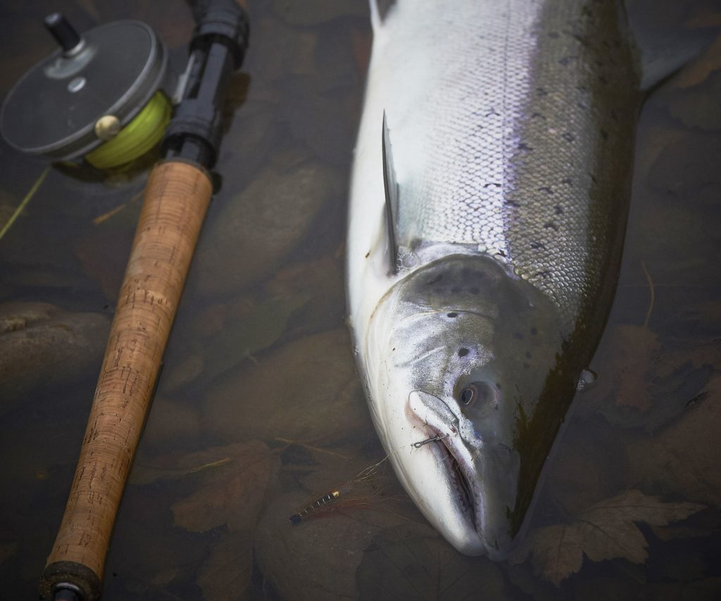 tubefly fishing for salmon