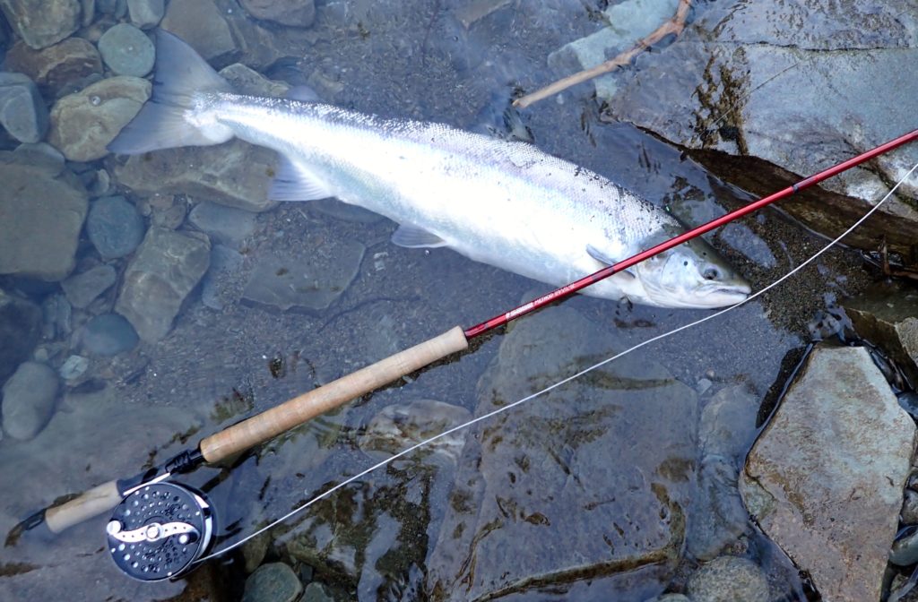 salmon on tube fly