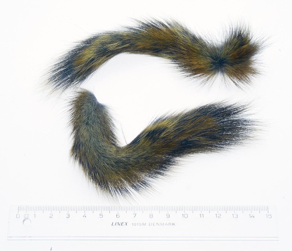 Pine squirrel for salmon flies
