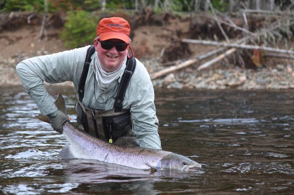 Big salmon on caddisfly