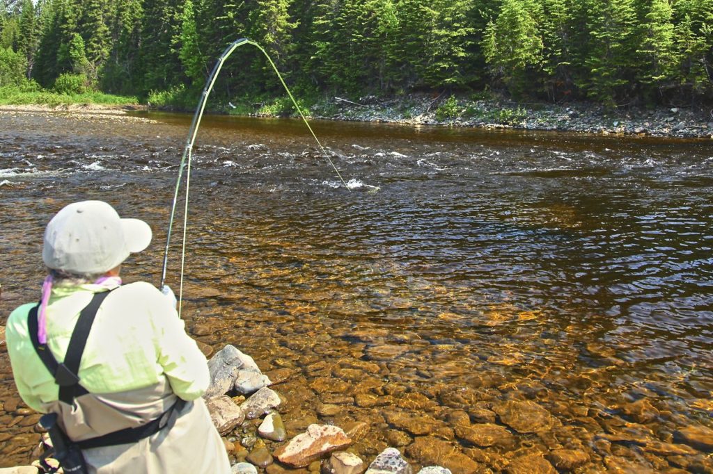 Salmon on dry fly