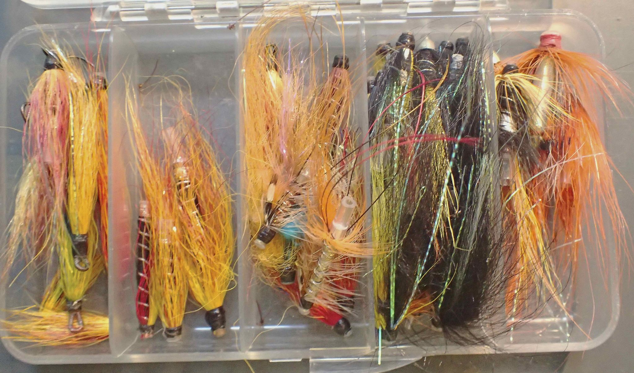 Salmon flies