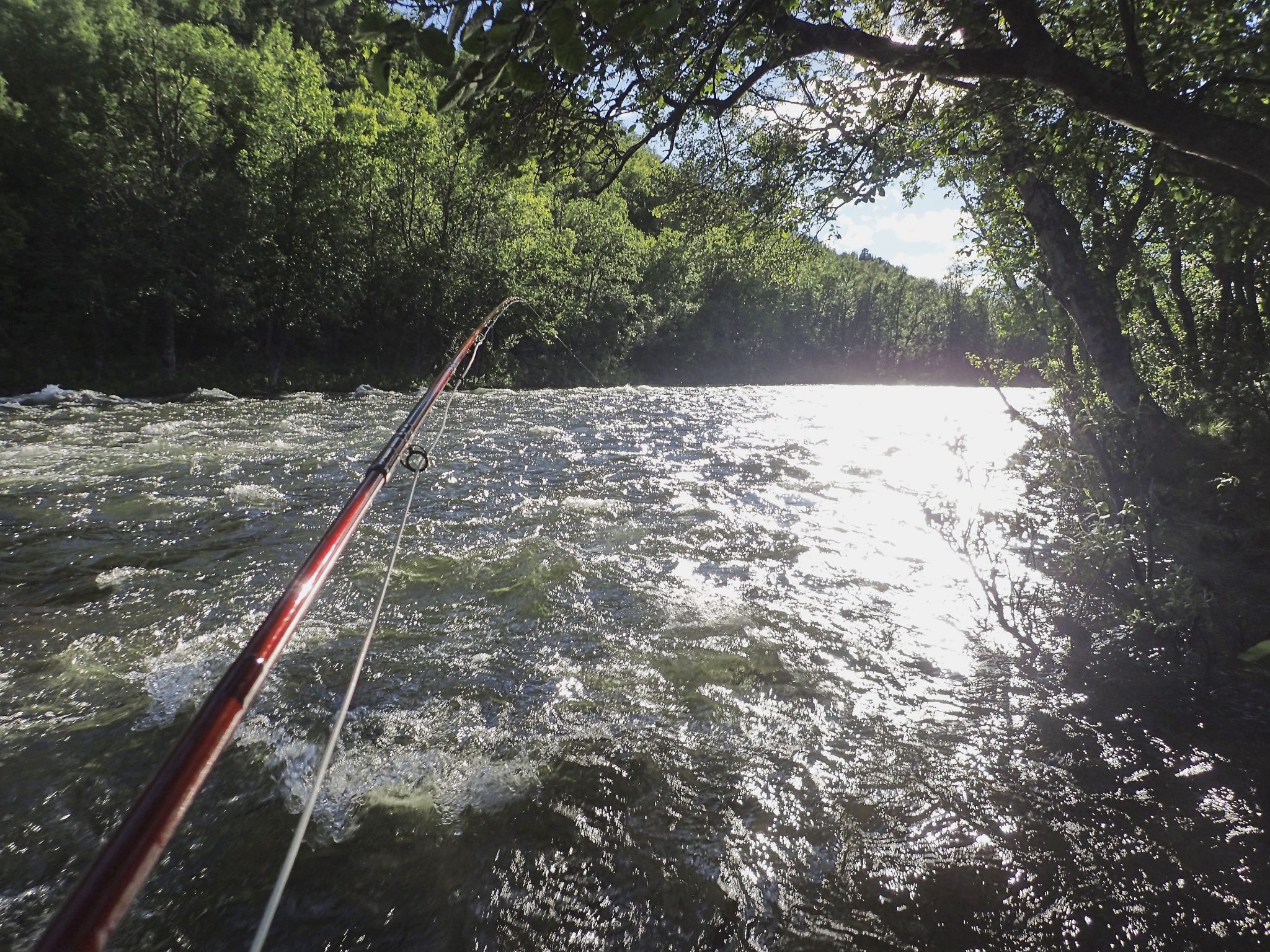 Salmon fly fishing