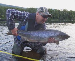 salmon on Bomber dry fly