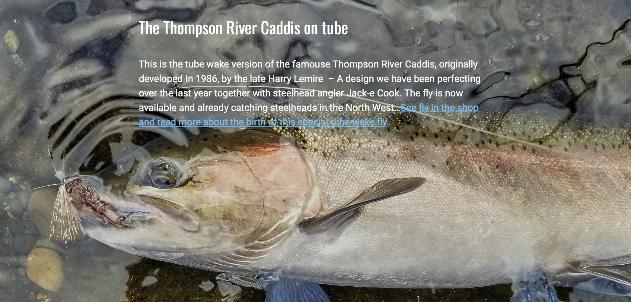 The Thompson River Caddis on tube