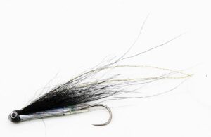 Collie Dog Tube fly