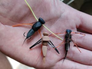 Sea Trout On Surface Flies