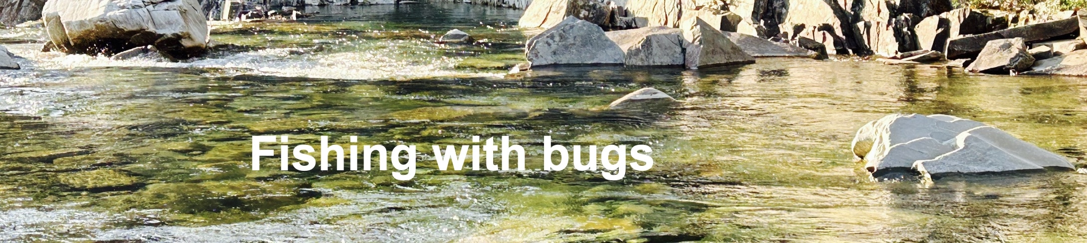 Fishing with salmon bugs