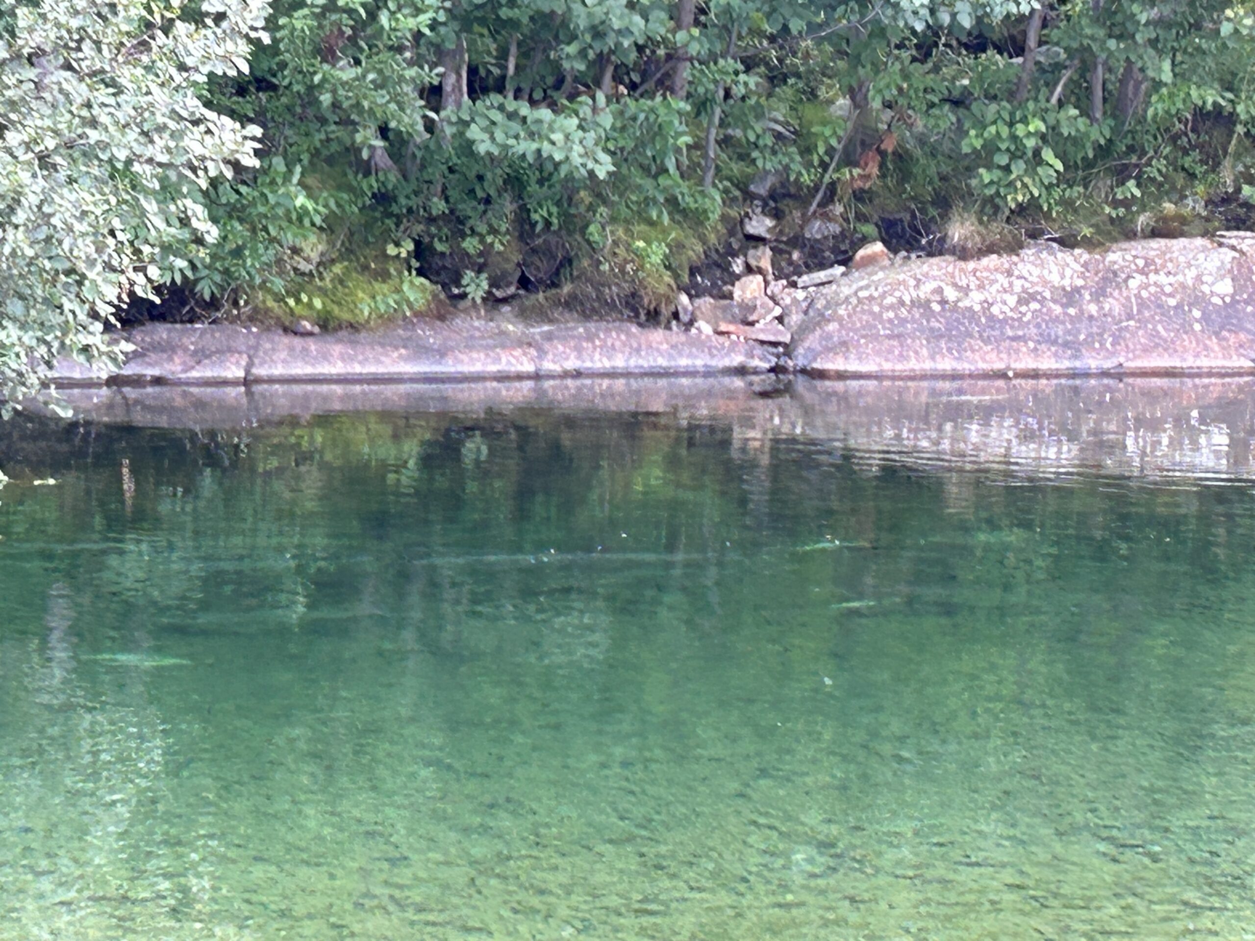 Fishing bugs in slow water