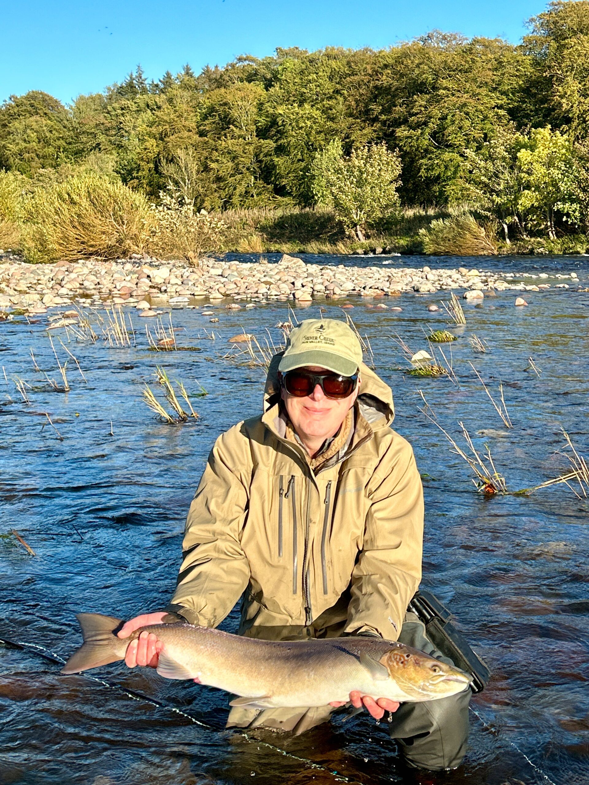 Salmon bug in Scotish waters