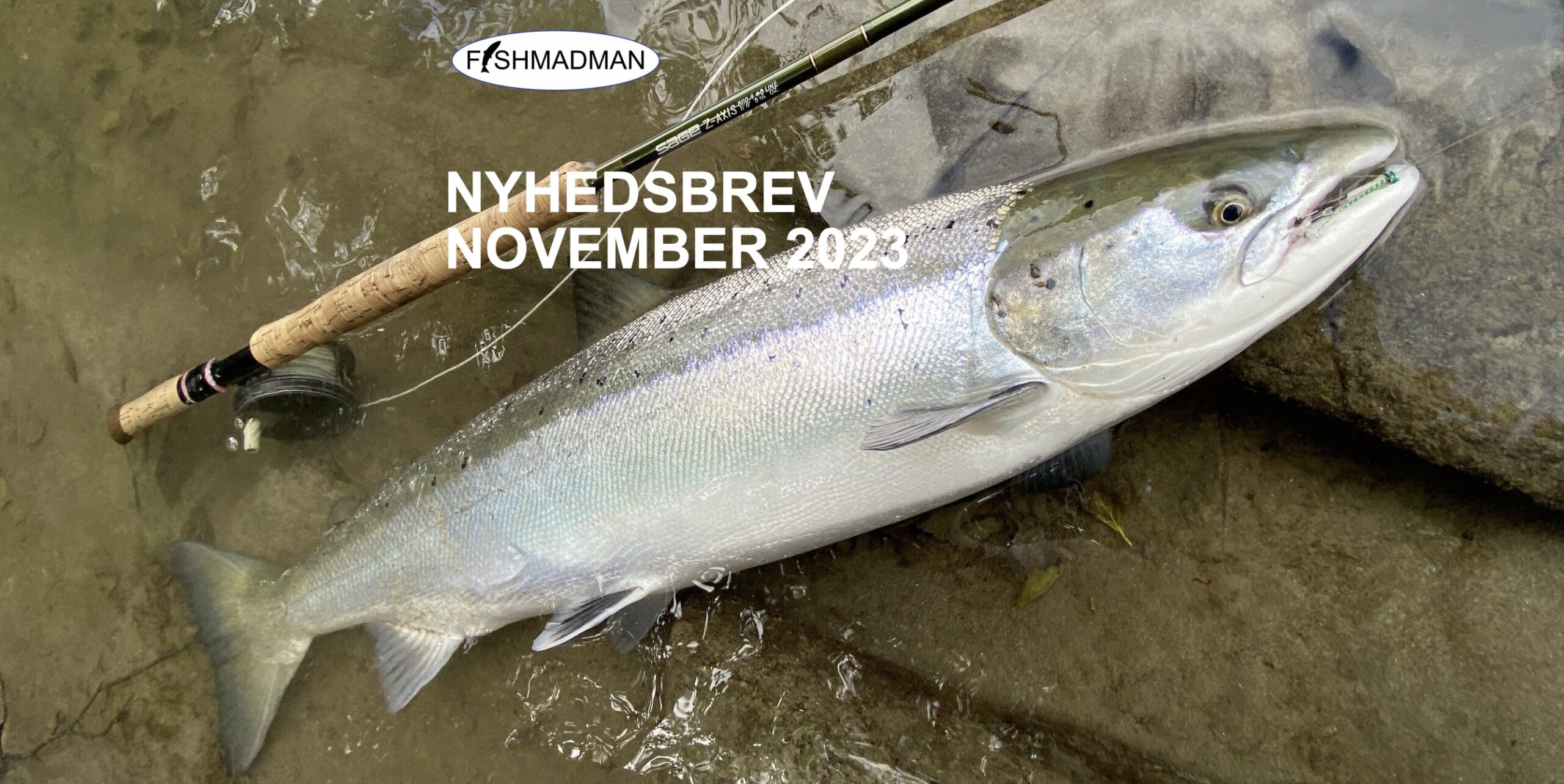 Nyhedsbrev 2023 Fishmadman