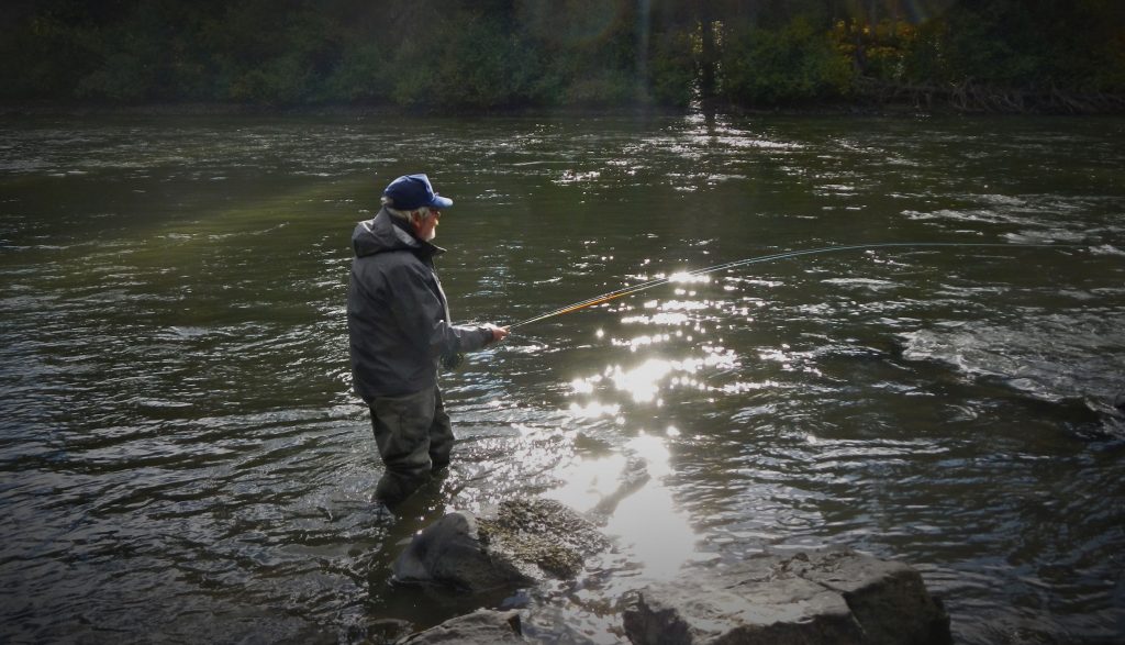 top water fishing steelhead