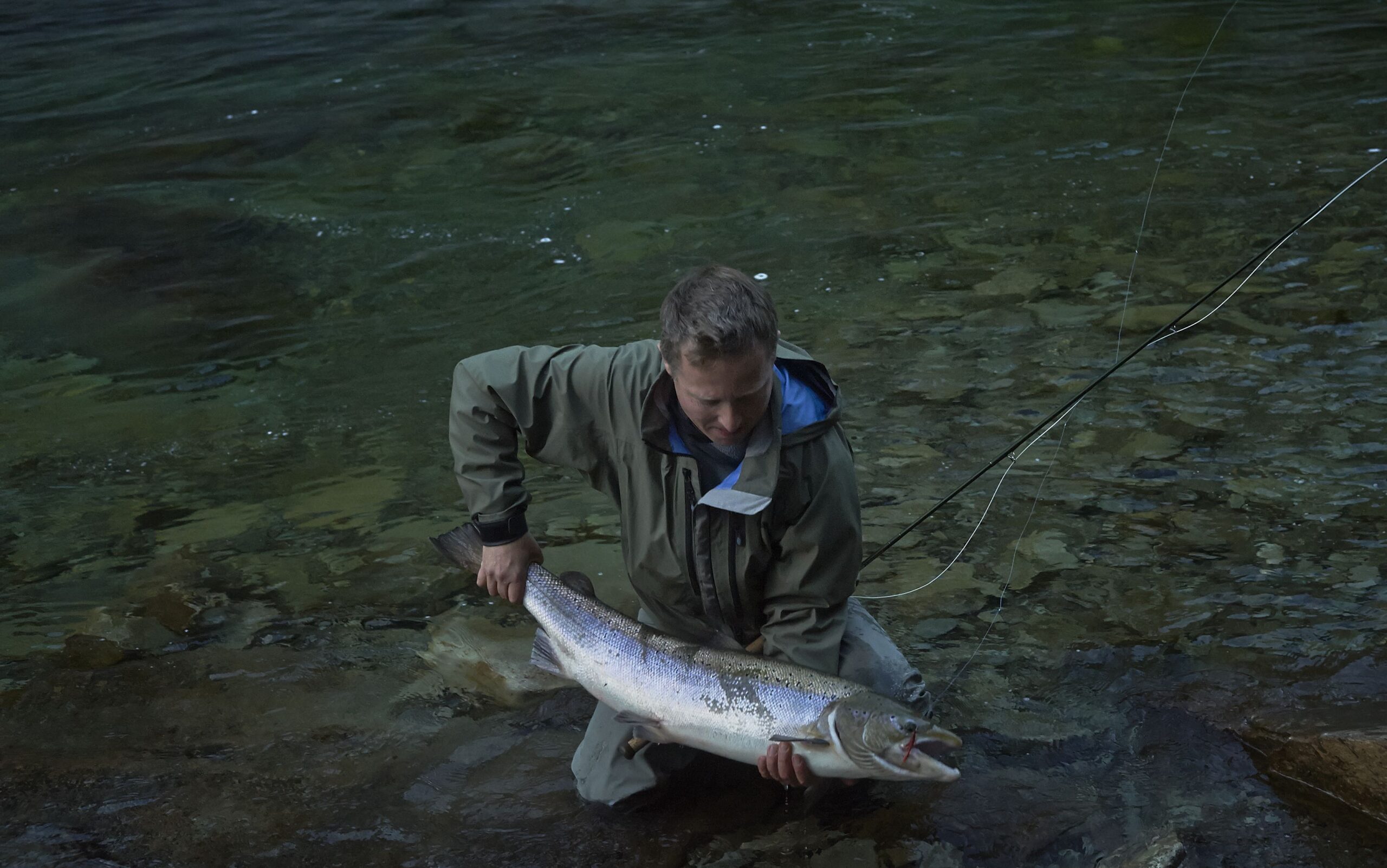 Caught on Gerneral Practitioner fly