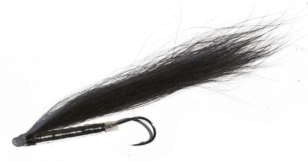 Collie Dog tube fly