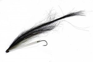 Sunray shadow tube fly