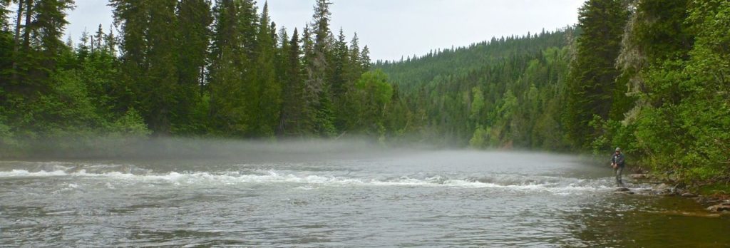 Monster Tube Caddis salmon on dry fly