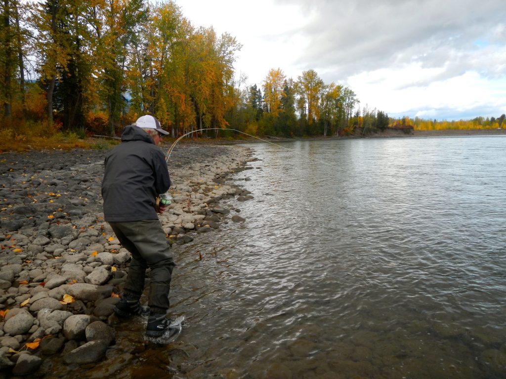 wake fly for steelhead