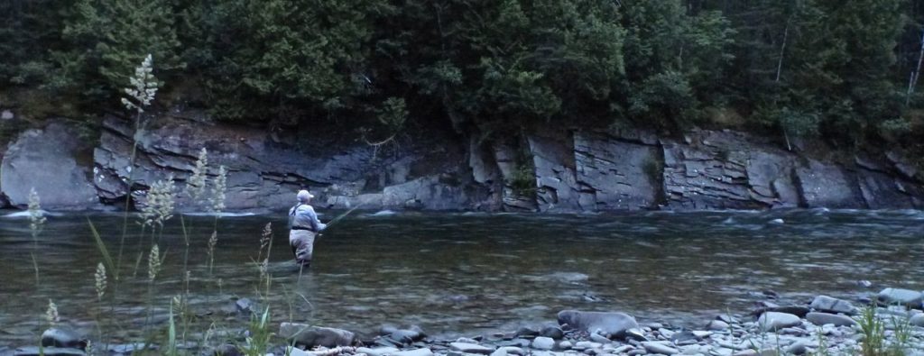 York River salmon dry fly monster Tube Cadis