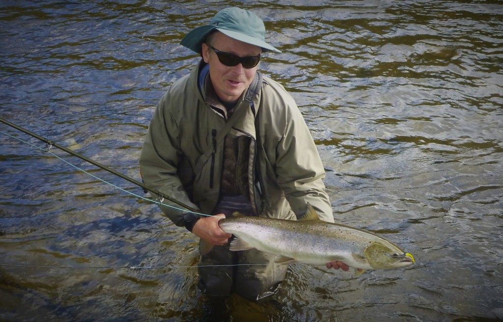 Waddington Shank Garry Dog