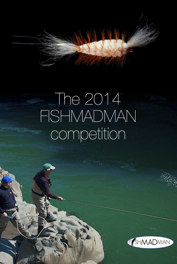 fishmadman competition