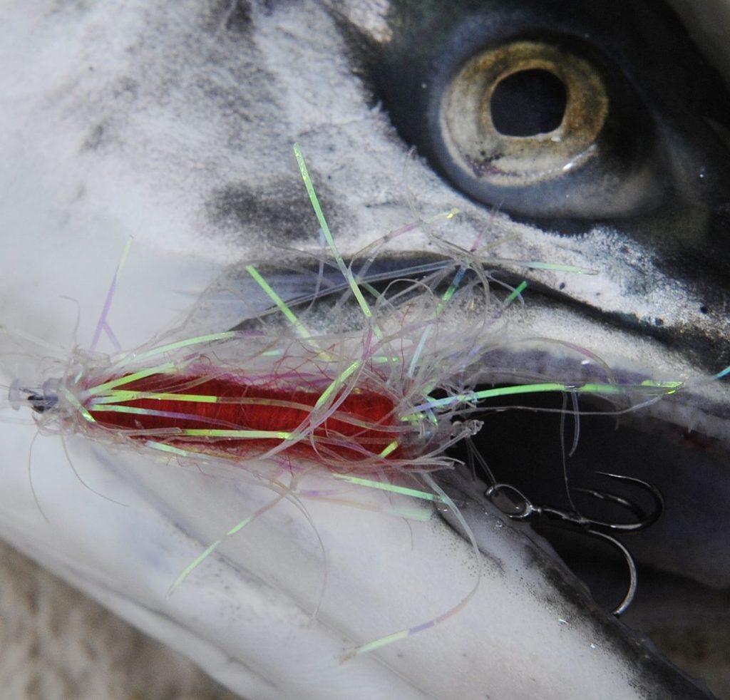 coastal sea-trout tube fly