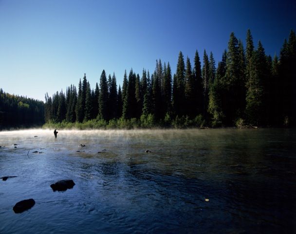 Steelhead wake fly