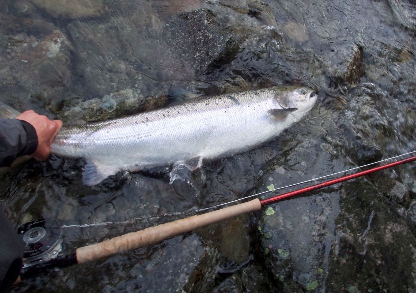 Salmon fly fishing with tube fly